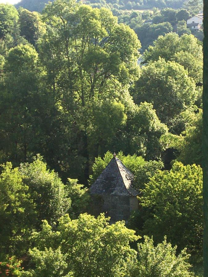 La Maison Sur La Riviere Vabre Exterior photo